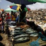 SAÚDE ESTA DOENTE: QUALIDADE DE ALIMENTOS VENDIDOS EM ANGOLA REPRESENTA RISCO DE MORTE