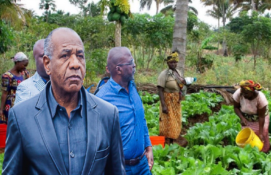 ALTO PREÇOS DOS FERTILIZANTES VAI AGRAVAR SITUAÇÃO DOS PRODUTORES ANGOLANOS – ASSOCIAÇÕES