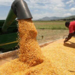 SEGURANÇA ALIMENTAR REFORÇADA COM INVESTIMENTO DE 200 MILHÕES DE DÓLARES